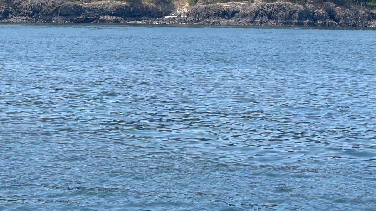 Outer Island Expeditions - Orca - Fishing Near Me - Eastsound, Washington