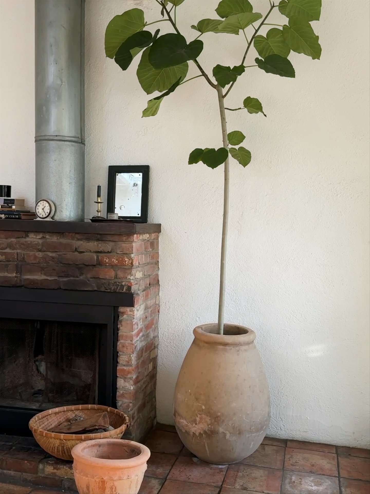 Terracotta Bellied Planter