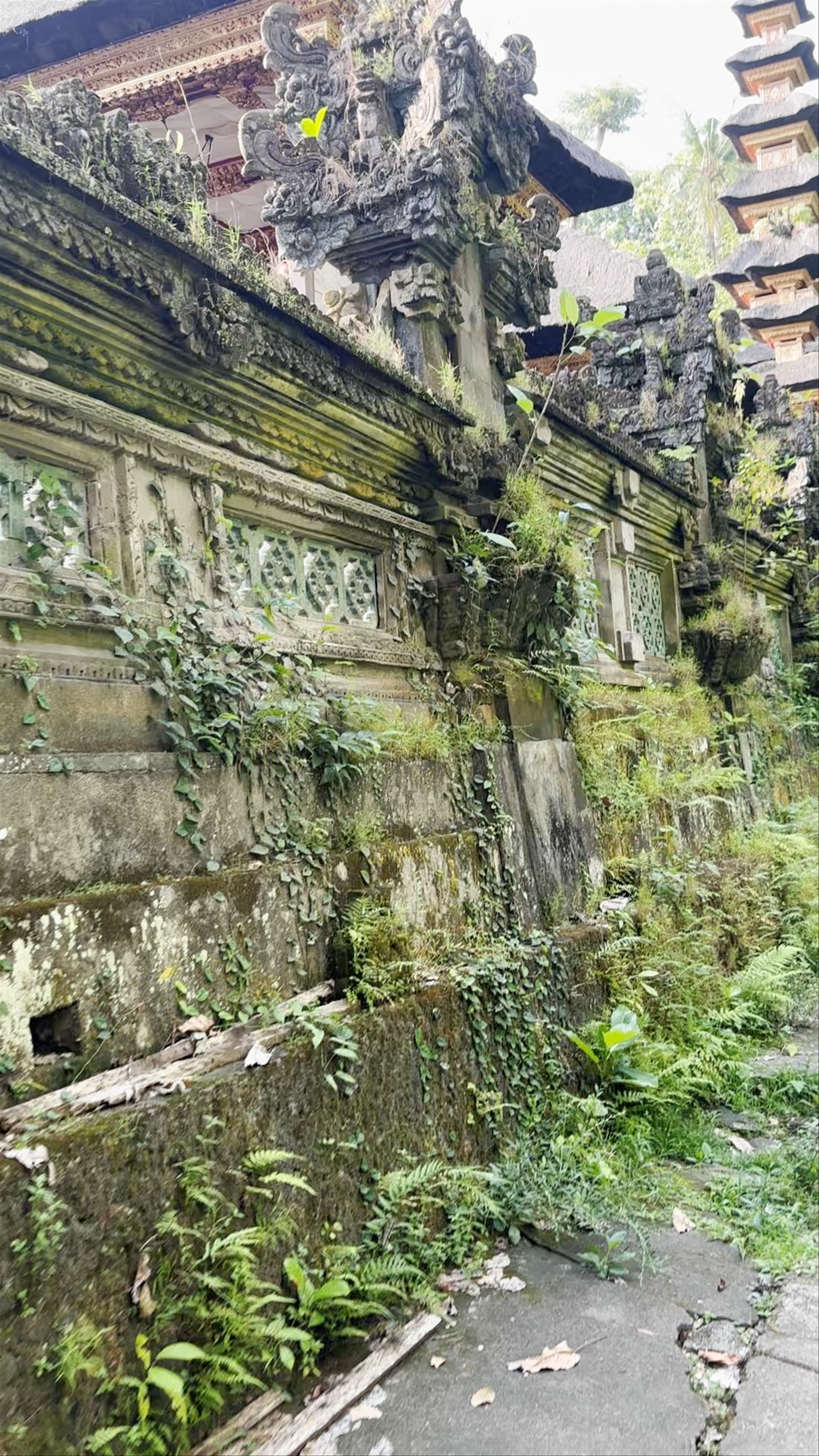 Campuhan Ridge Walk