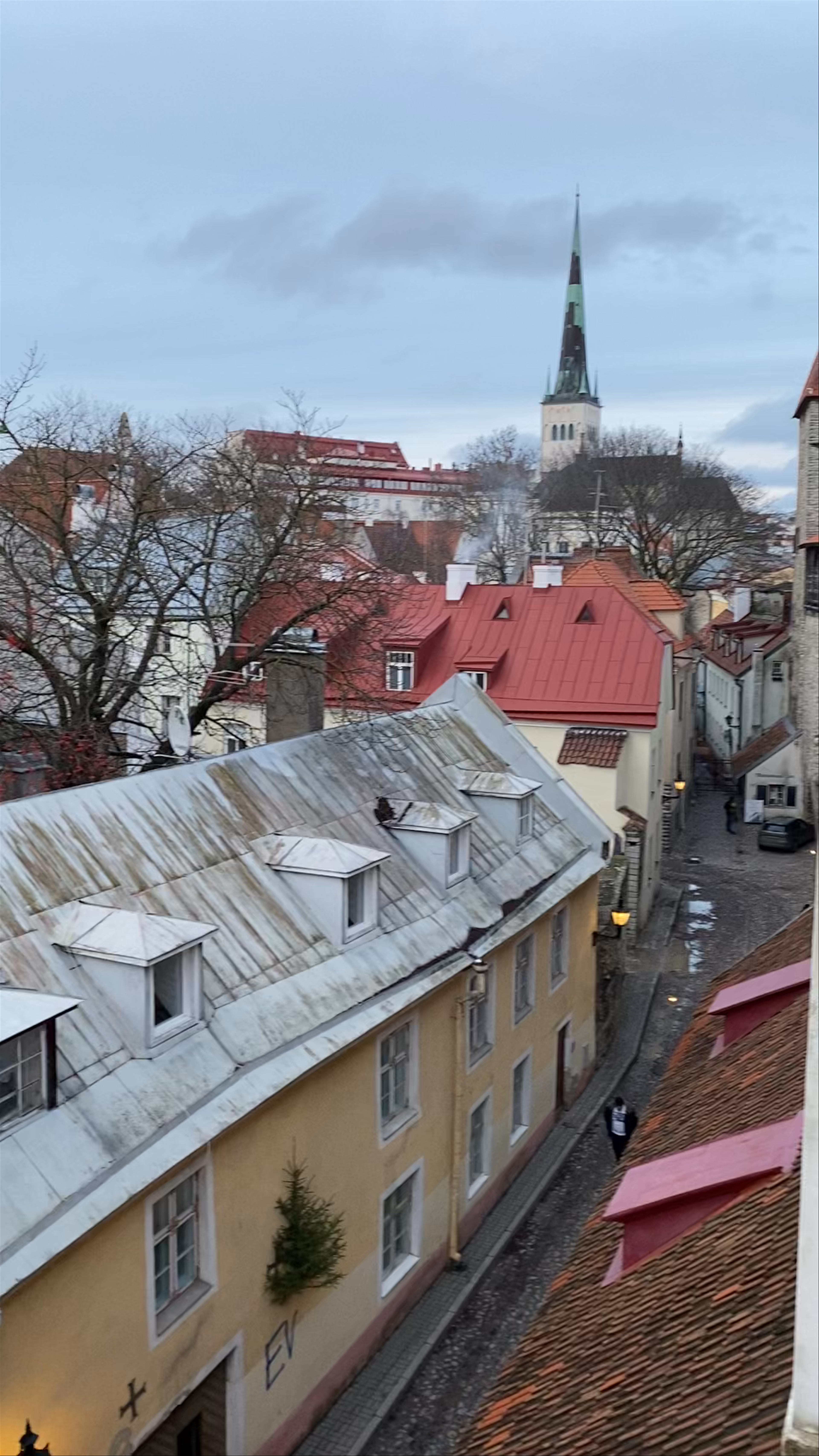 Hellemann Tower and Town Wall Walkway Scenic Views in Tallinn