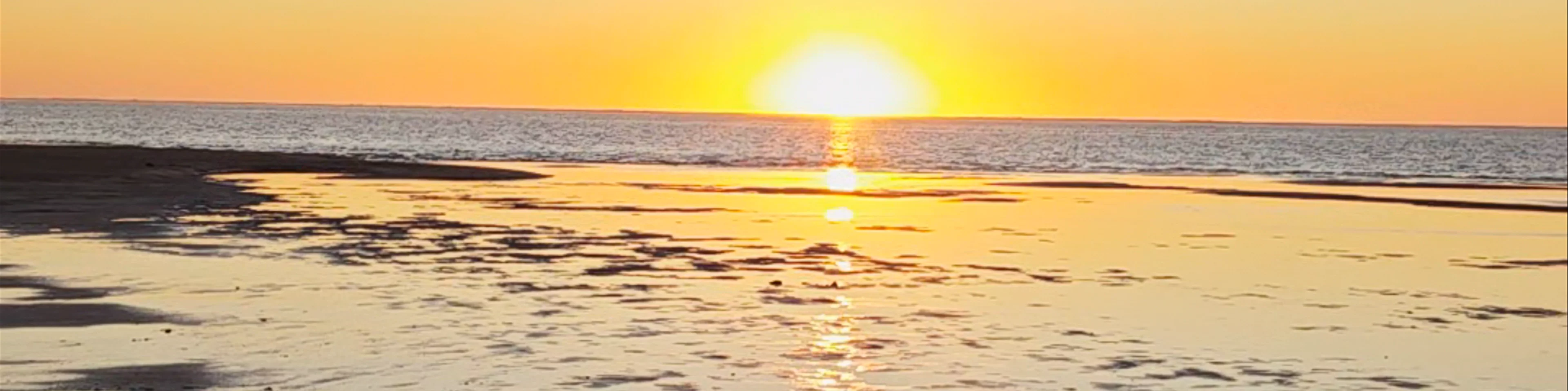 Bill's Bay