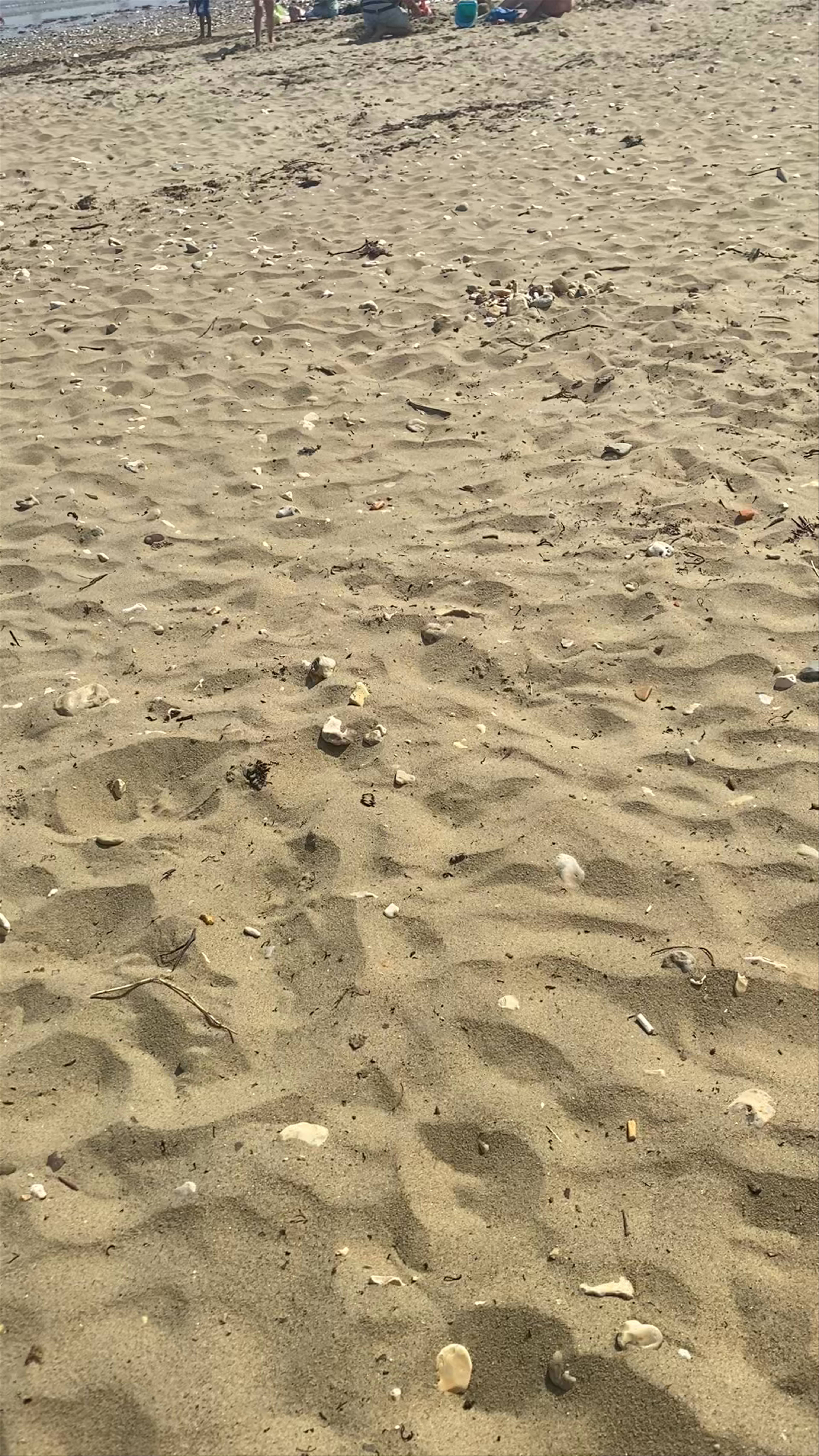 Shanklin Beach: Sun, Sand, and Seaside Fun on the Isle of Wight
