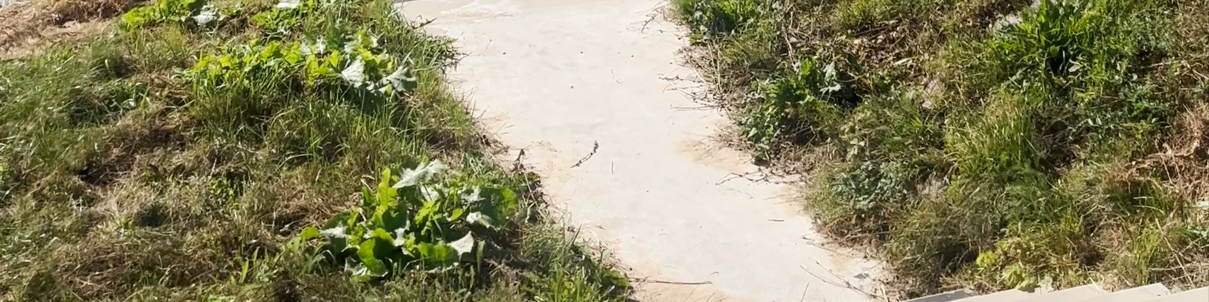 Cietokšņa promenāde