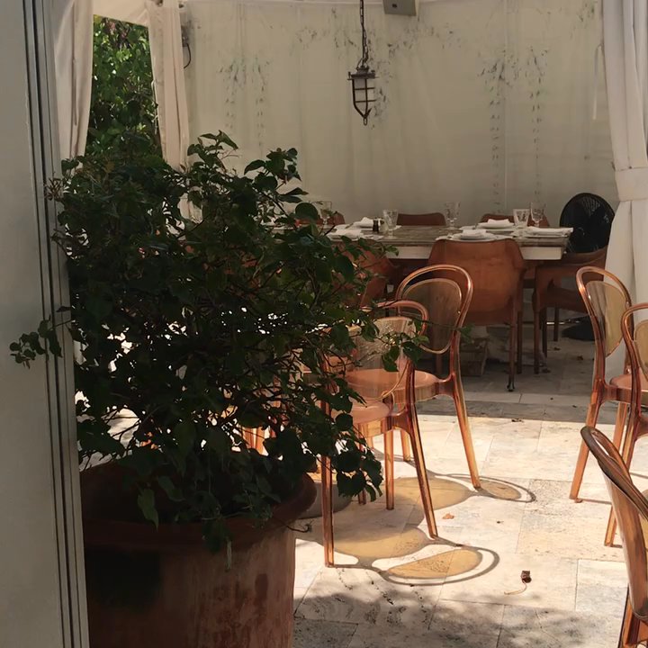 The Continental - The Outdoor Patio Vibes! - Steakhouses Near Me - Naples, Florida