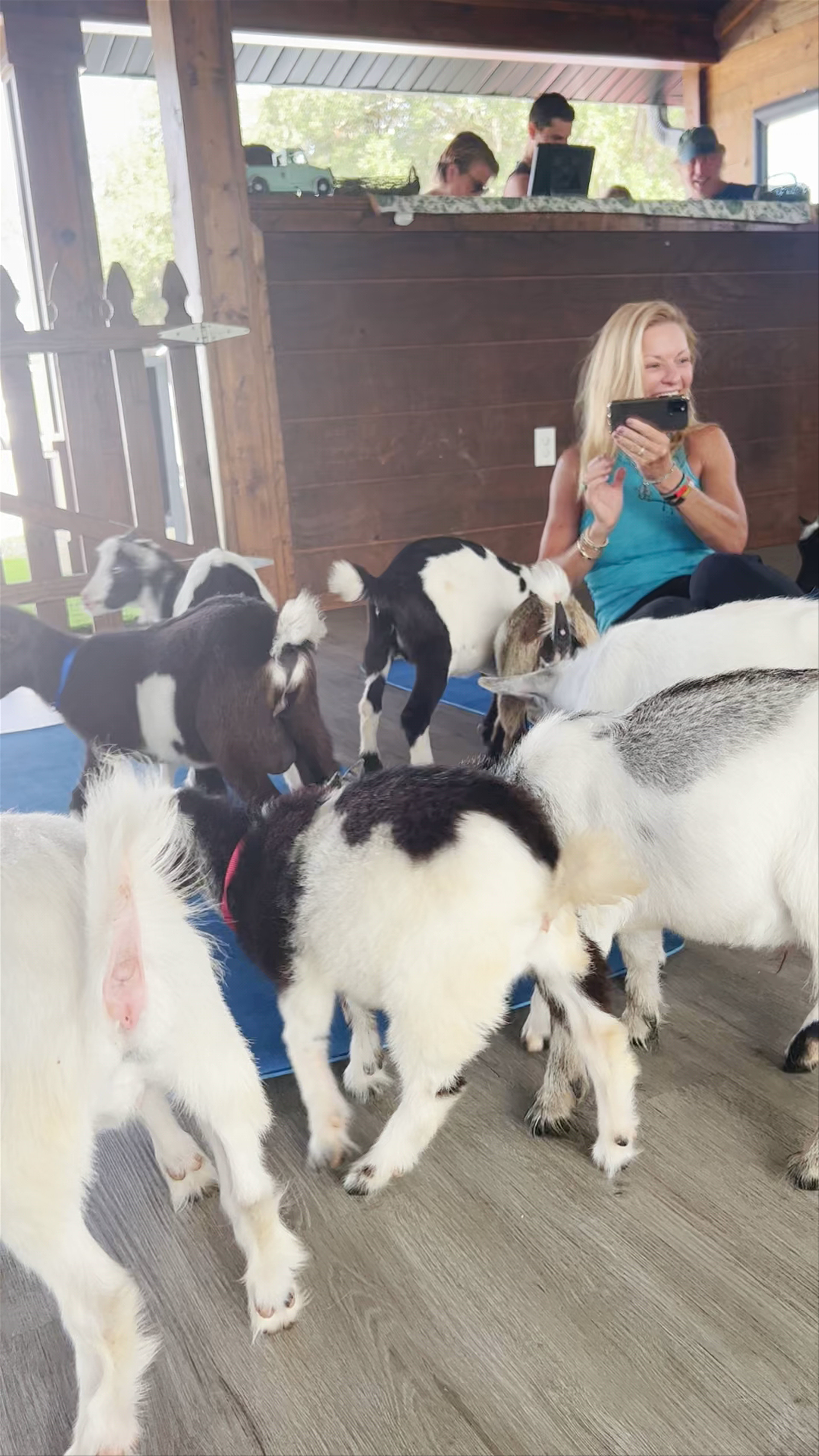 Goat Yoga At Alaska Farms, Orlando: Playful Wellness Experience