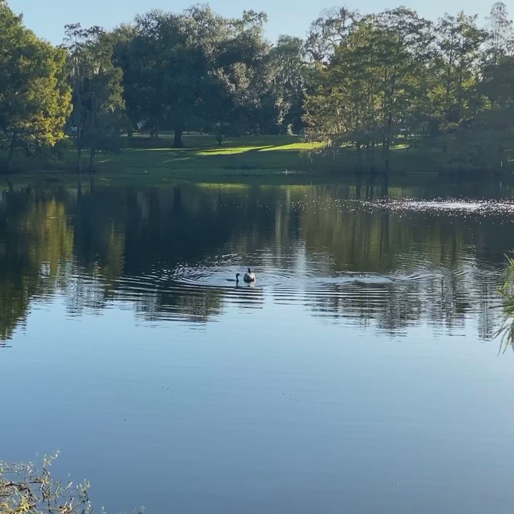 Lake Como Park - Parks Near Me - Orlando, Florida