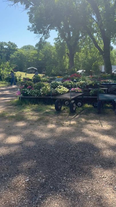 Hare's Nursery - It's so beautiful out here. - Nurseries & Gardening Near Me - Arlington, Texas