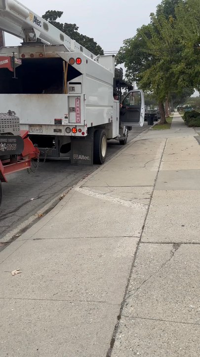 Community Tree Services - Blocking my business driveway so my customers not able to enter or leave. - Tree Services Near Me - Pajaro, California