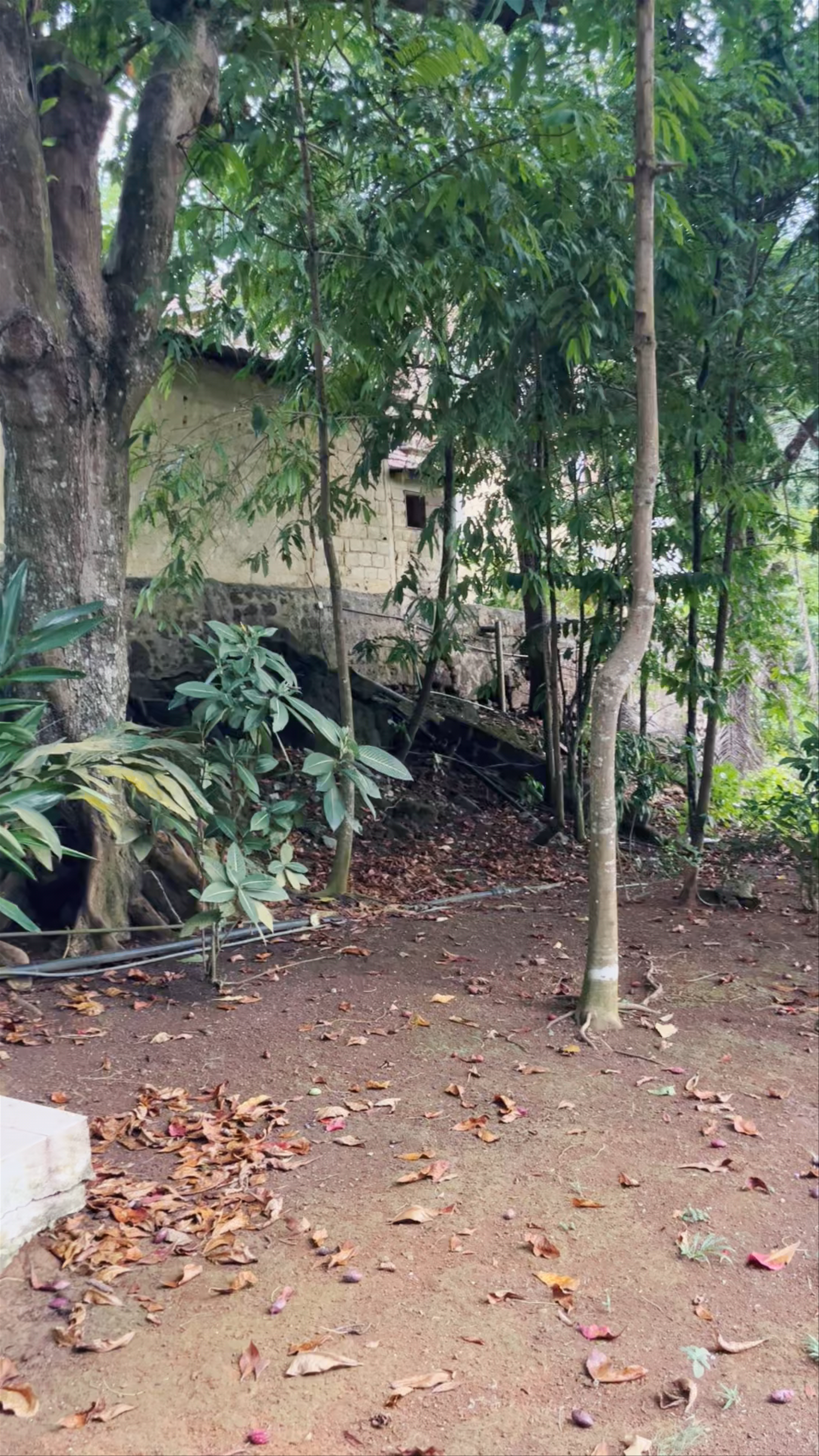 Belo Monte Hotel and Museum