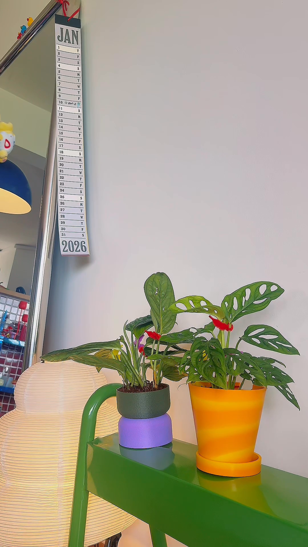 New-year-new-planters!-