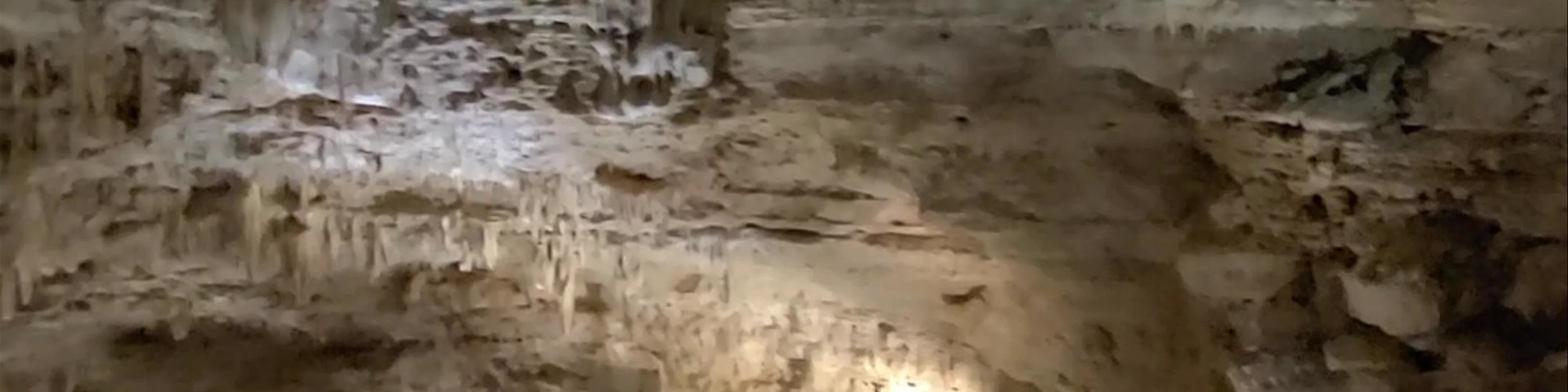 Natural Bridge Caverns