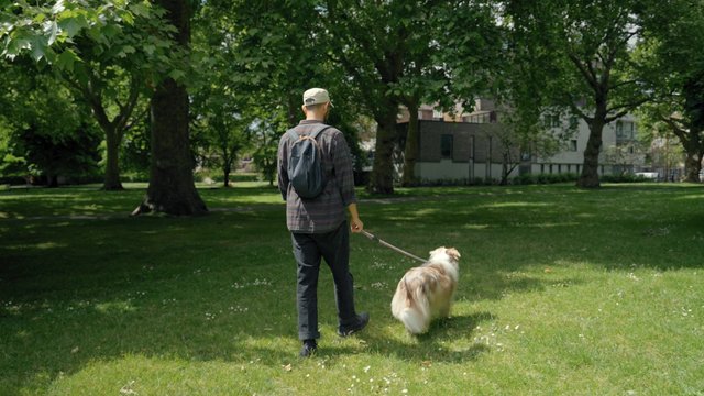 A man walks through a park with his dog on a leash