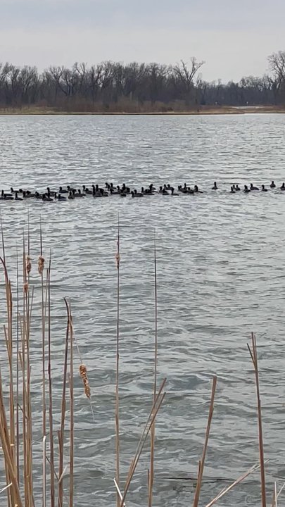 Baker Wetlands - Parks Near Me - Lawrence, Kansas
