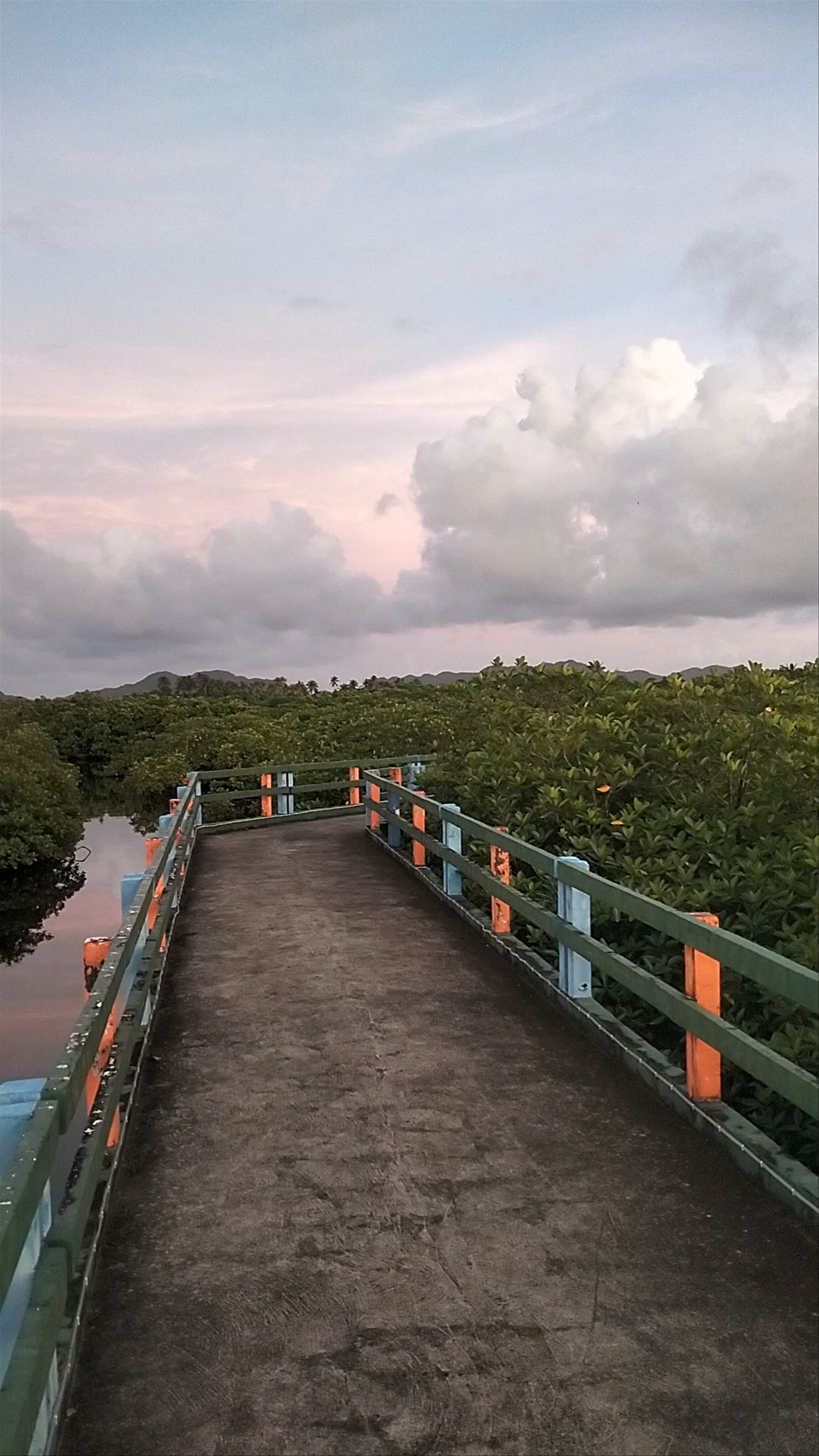Tranquil Boardwalk at Del Carmen Mangrove Forest, Surigao del Norte