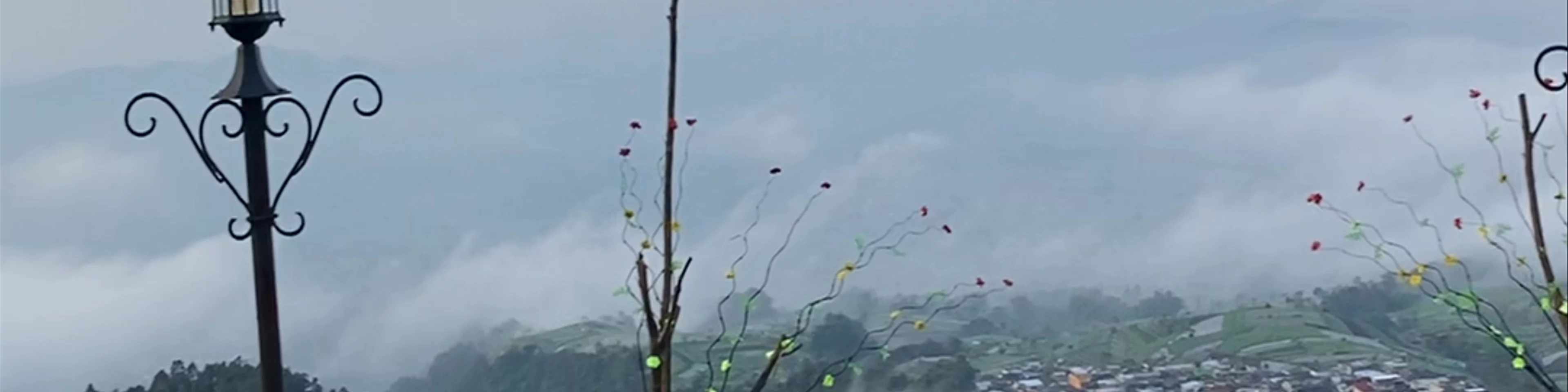 Nepal Van Java