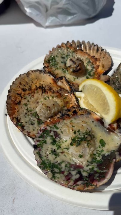 Captain Jack's - Grilled Scallops and Grilled Oysters - Caterers Near Me