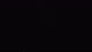 Julie Kegels - © Artlist