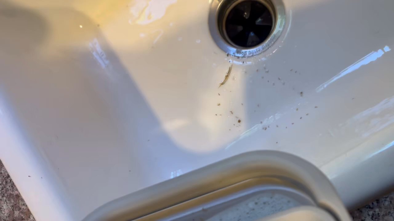 Pro Spark Cleaning - This is the dirt that was a result of the cleaning Sofiya sent, WOW! - Home Cleaning Near Me