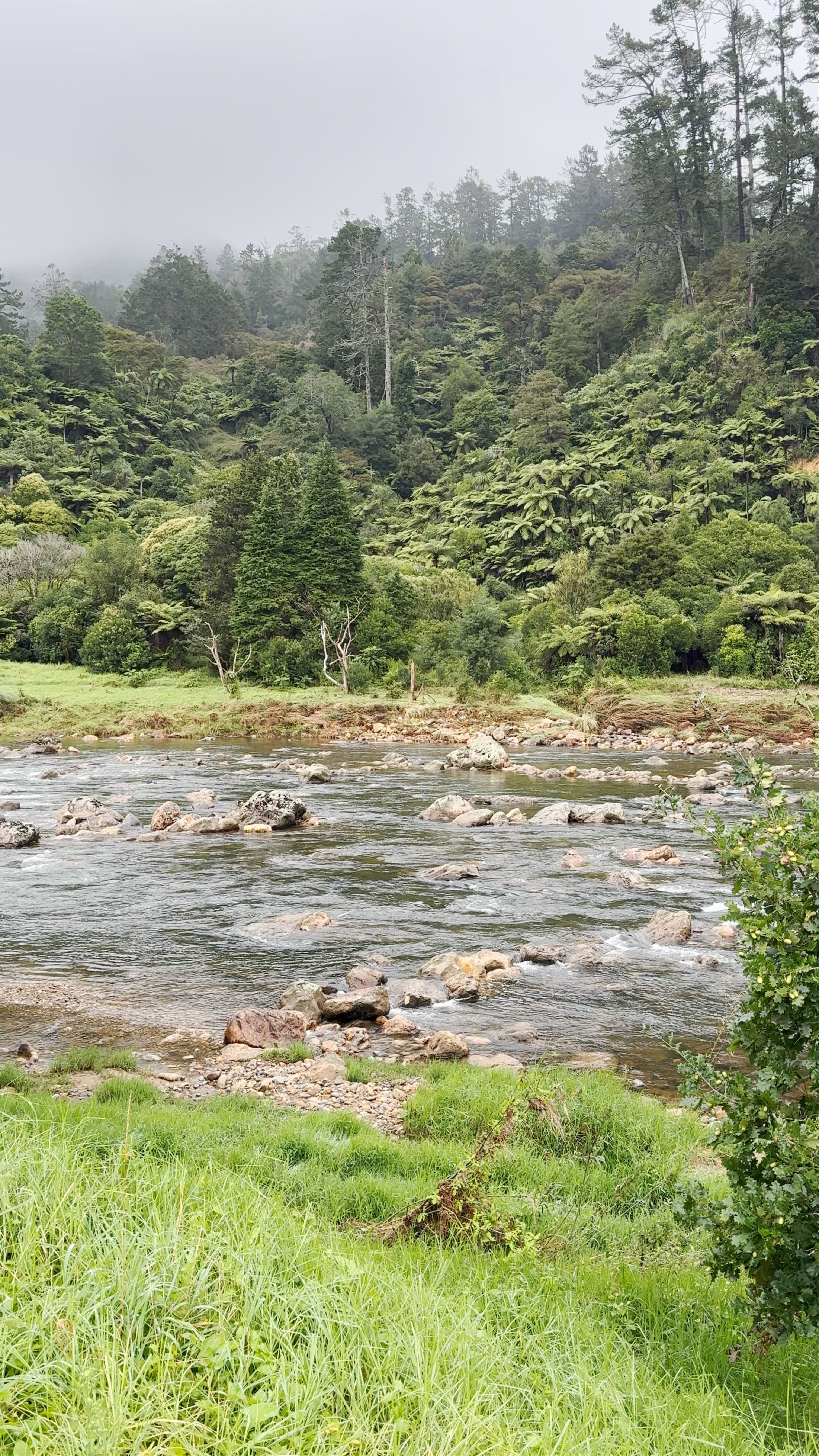Karangahake gorge State Highway 2