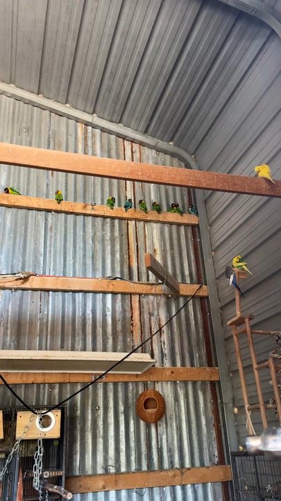 Huddin Homestead Fun Farm - Attraction Farms Near Me - Rockwall, Texas