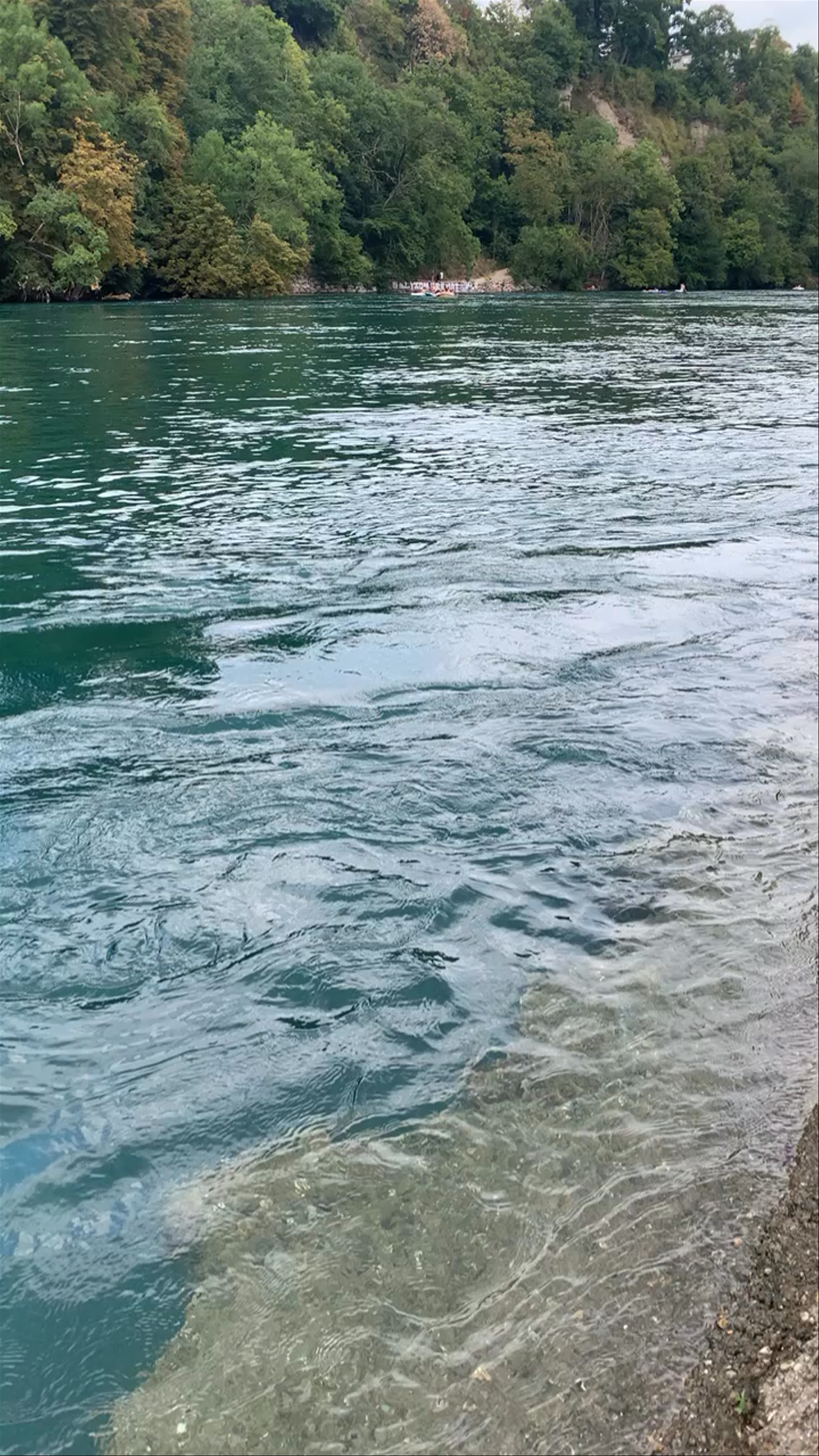 Peaceful Riverside Moments in Geneva City Centre
