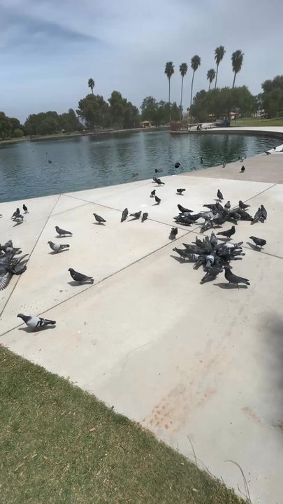 Roadrunner Park - Parks Near Me - Phoenix, Arizona
