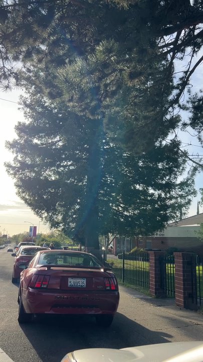 St John the Evangelist Parish - The chime of the bells at the church after the 5:30pm mass. - Churches Near Me - Carmichael, California