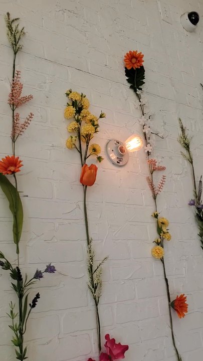 Woops - The inside of the shop - Coffee & Tea Near Me - Tucson, Arizona