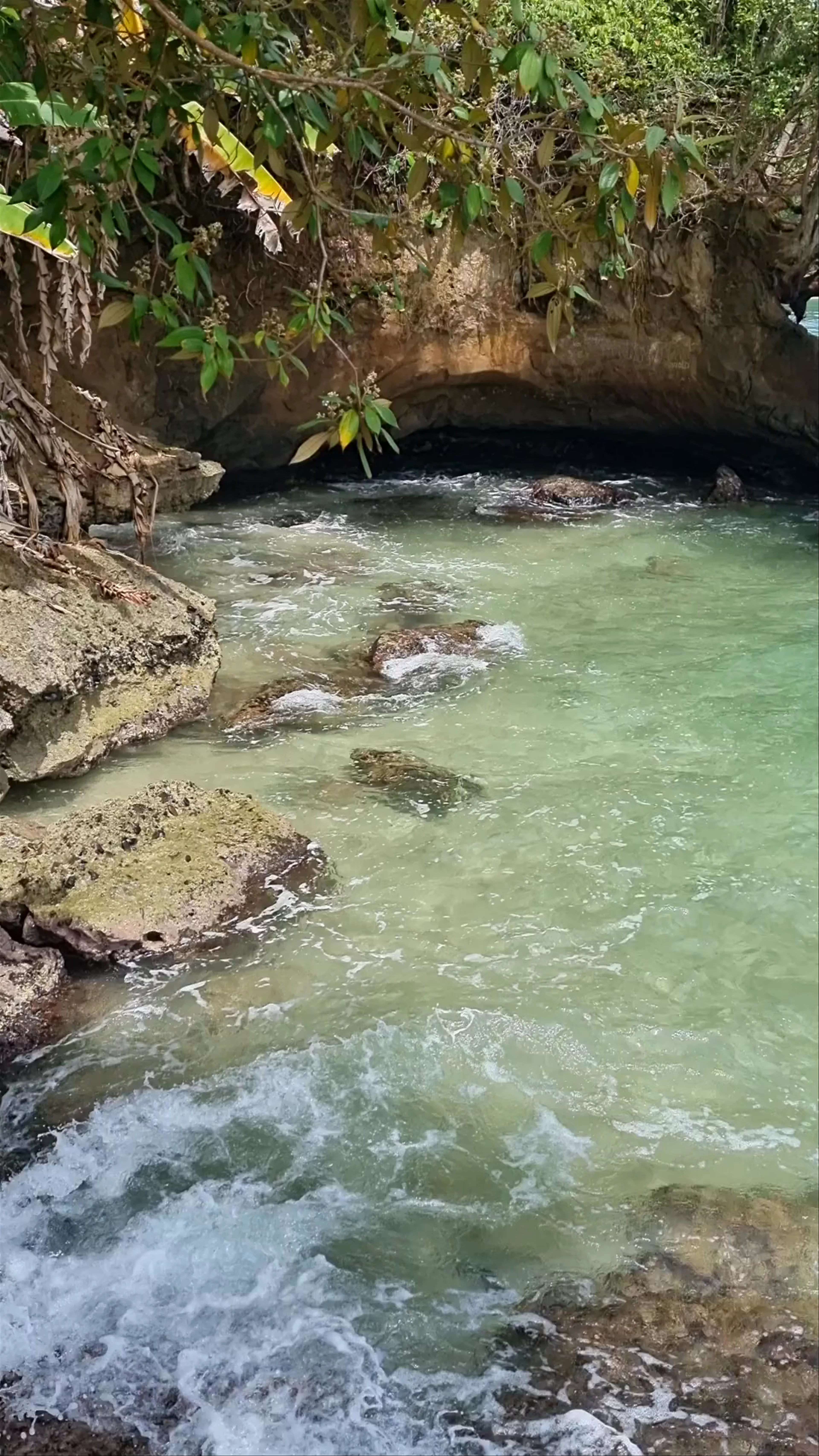 Cueva Punta Uva