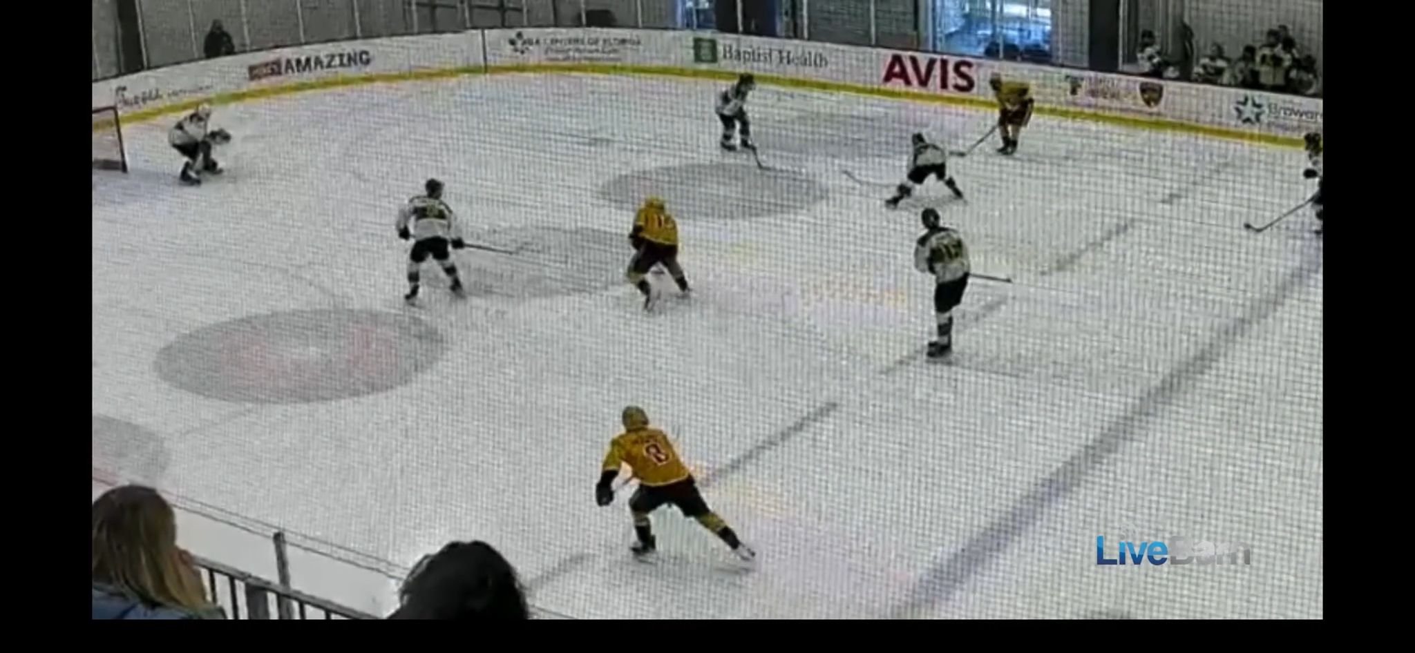 Peyton Dahlke's goal for the McKinney northstars