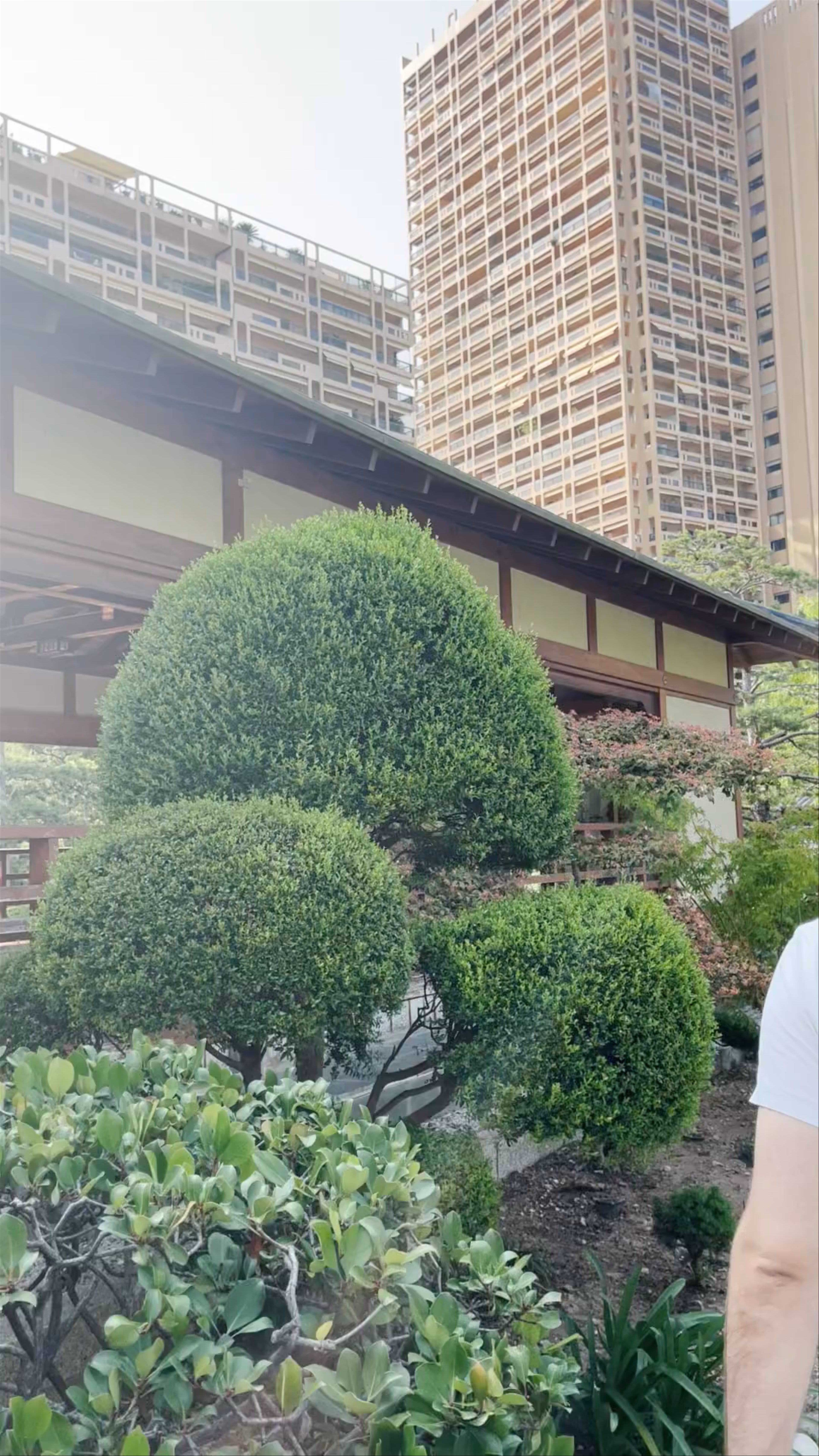 Princess Grace Japanese Garden