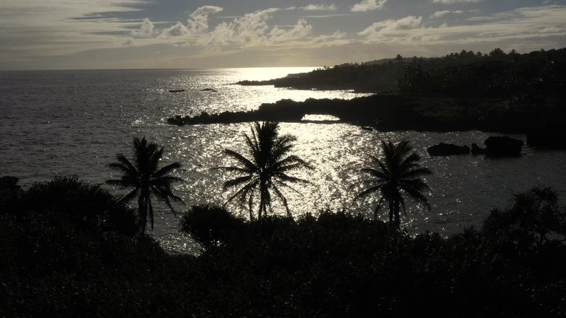 Scenic View in Maui, Hawaii poster