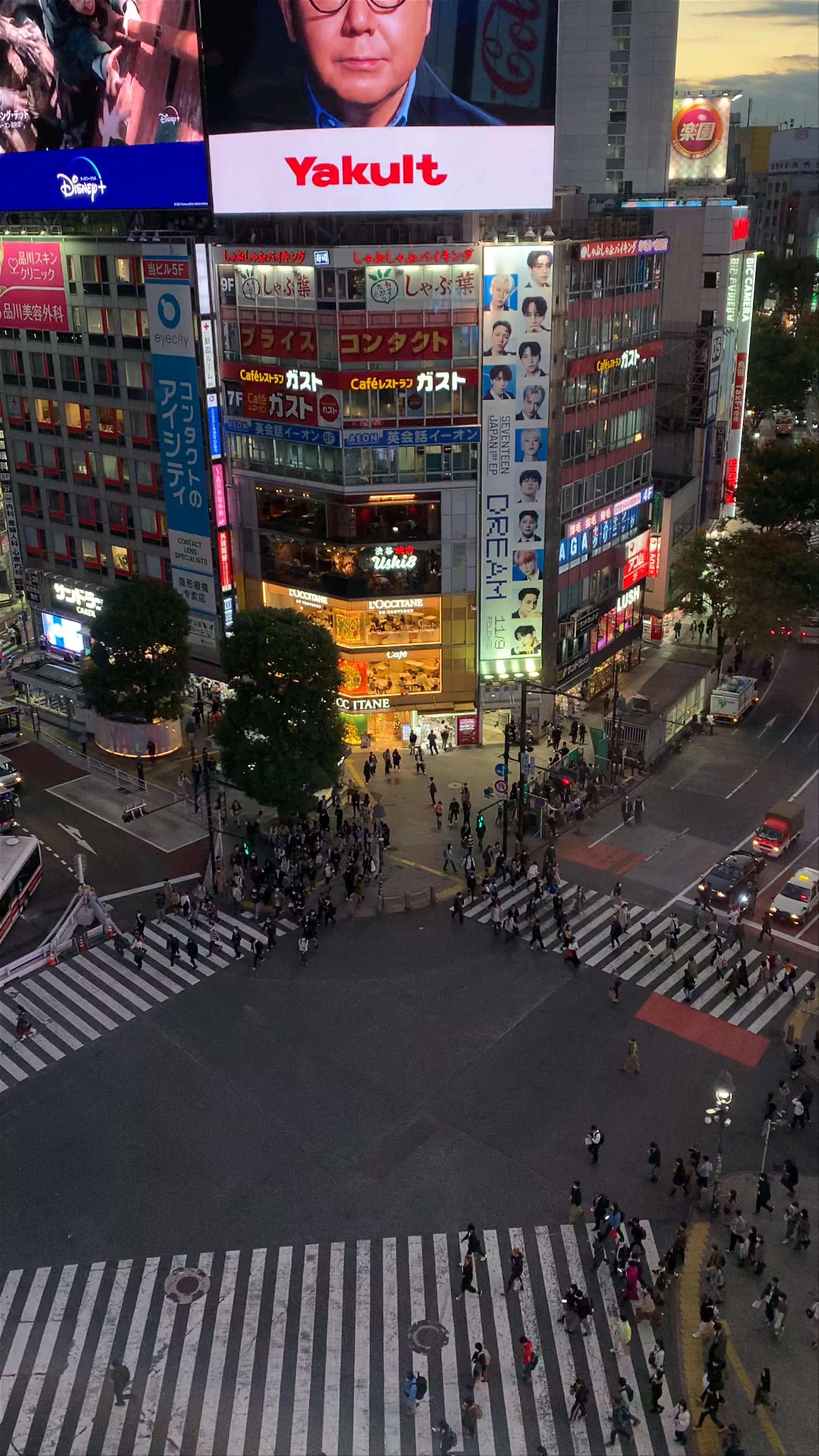 Shibuya Crossing