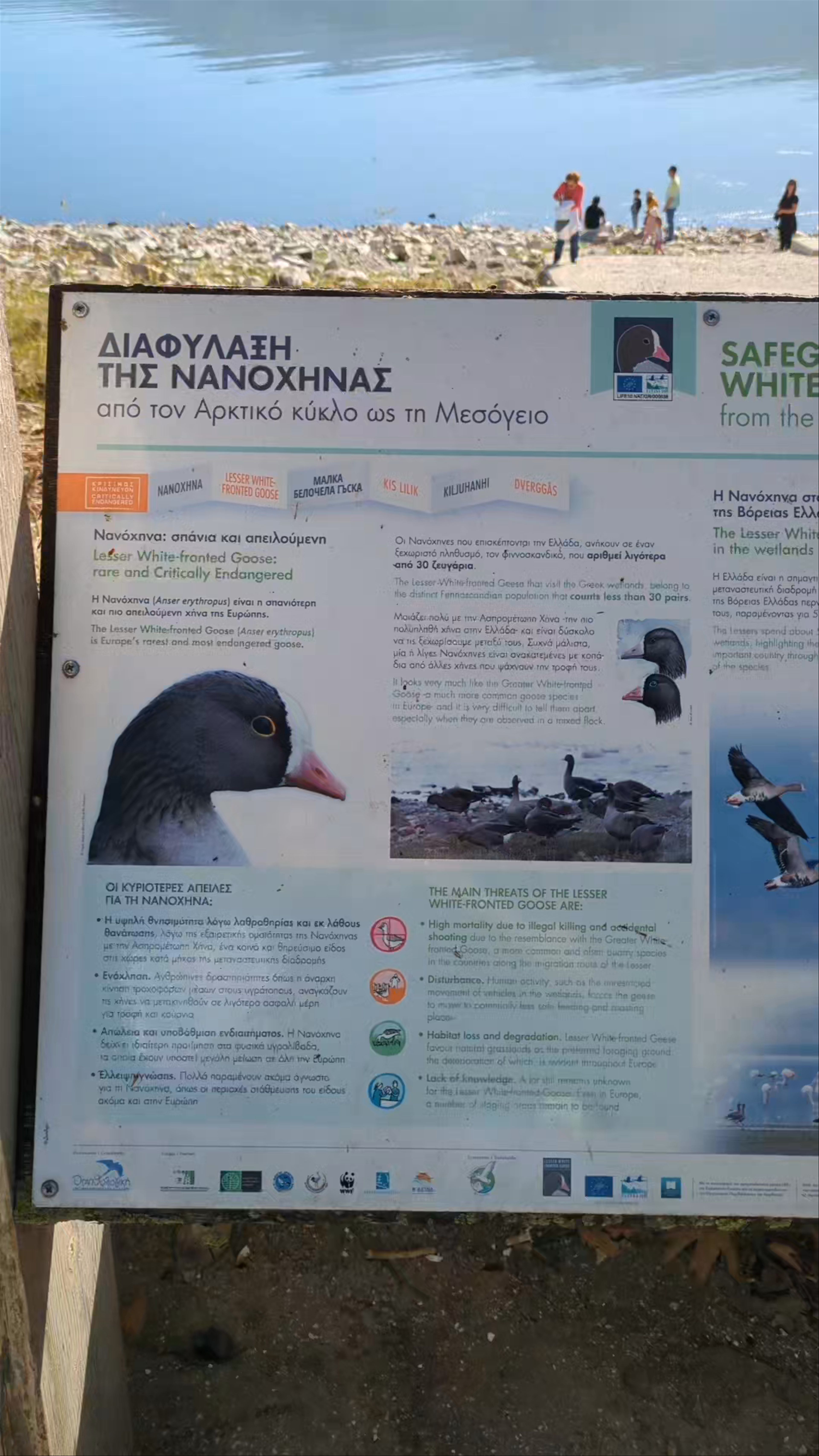 Kerkini Lake National Park
