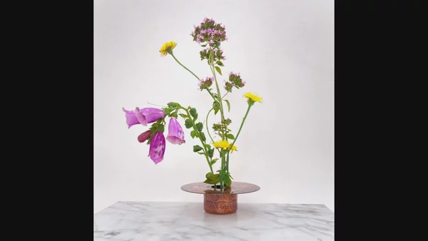 Preview image for video