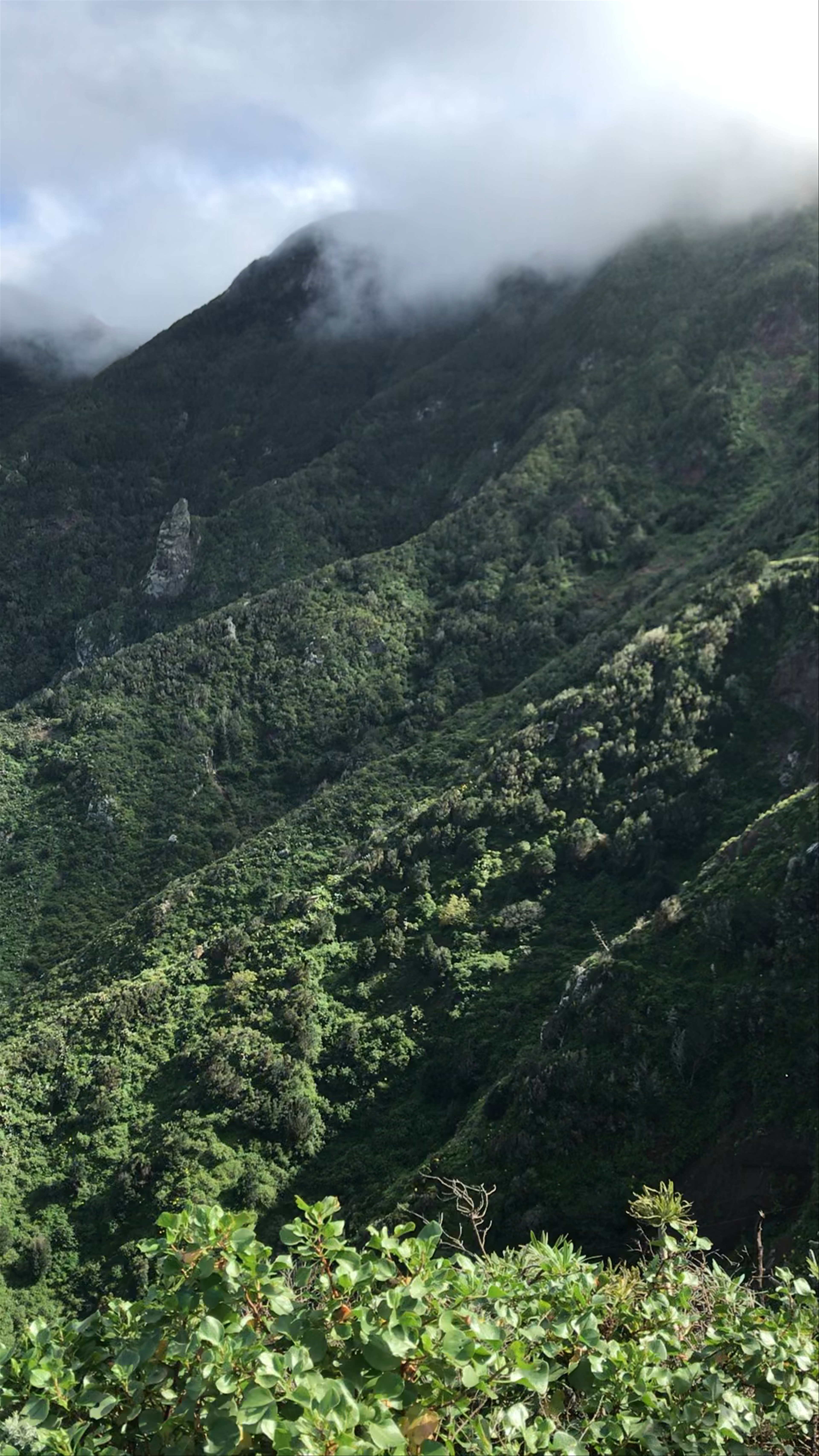 Parque Rural de Anaga. Espacio natural protegido