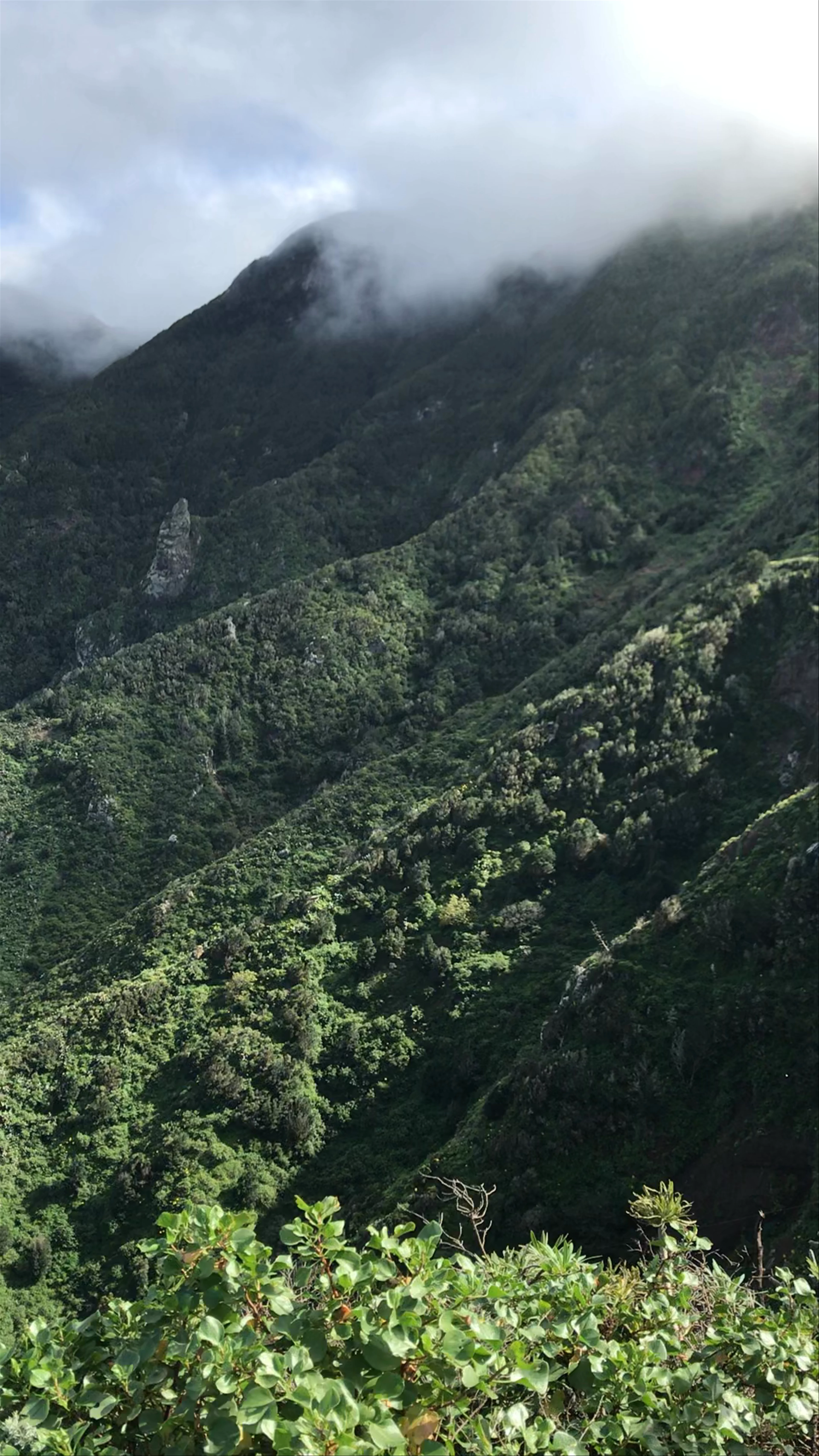 Parque Rural de Anaga