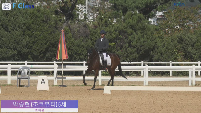 박승현 (초코뷰티) — 2026년 은퇴경주마 품평회 및 승마대회 결승 · 마장마술 F1 Class