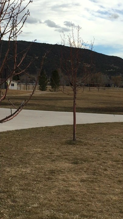 Crown Mountain Park - Parks Near Me - Carbondale, Colorado