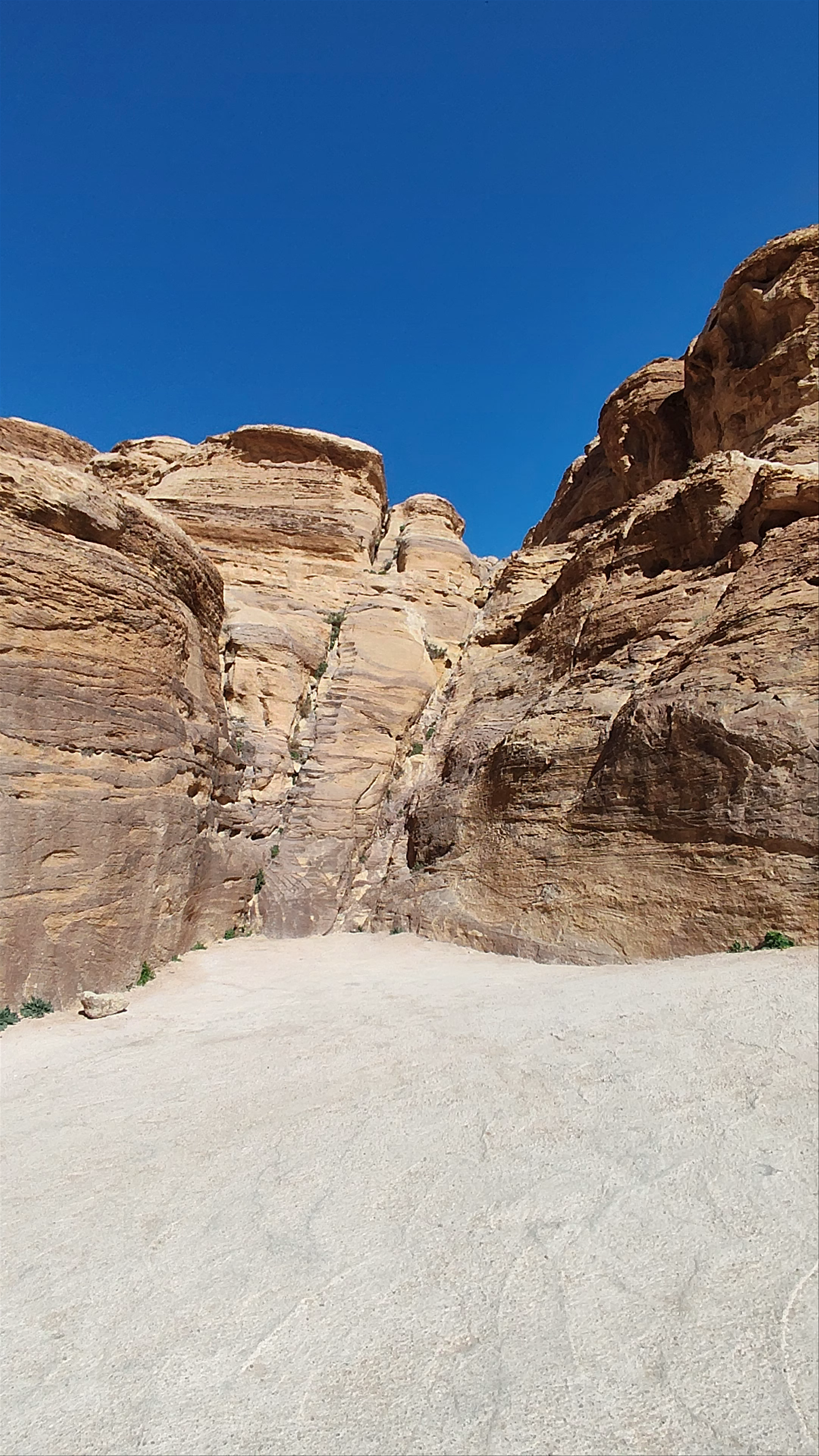 Al-Siq Walkway: Gateway to Petra's Majestic Wonders