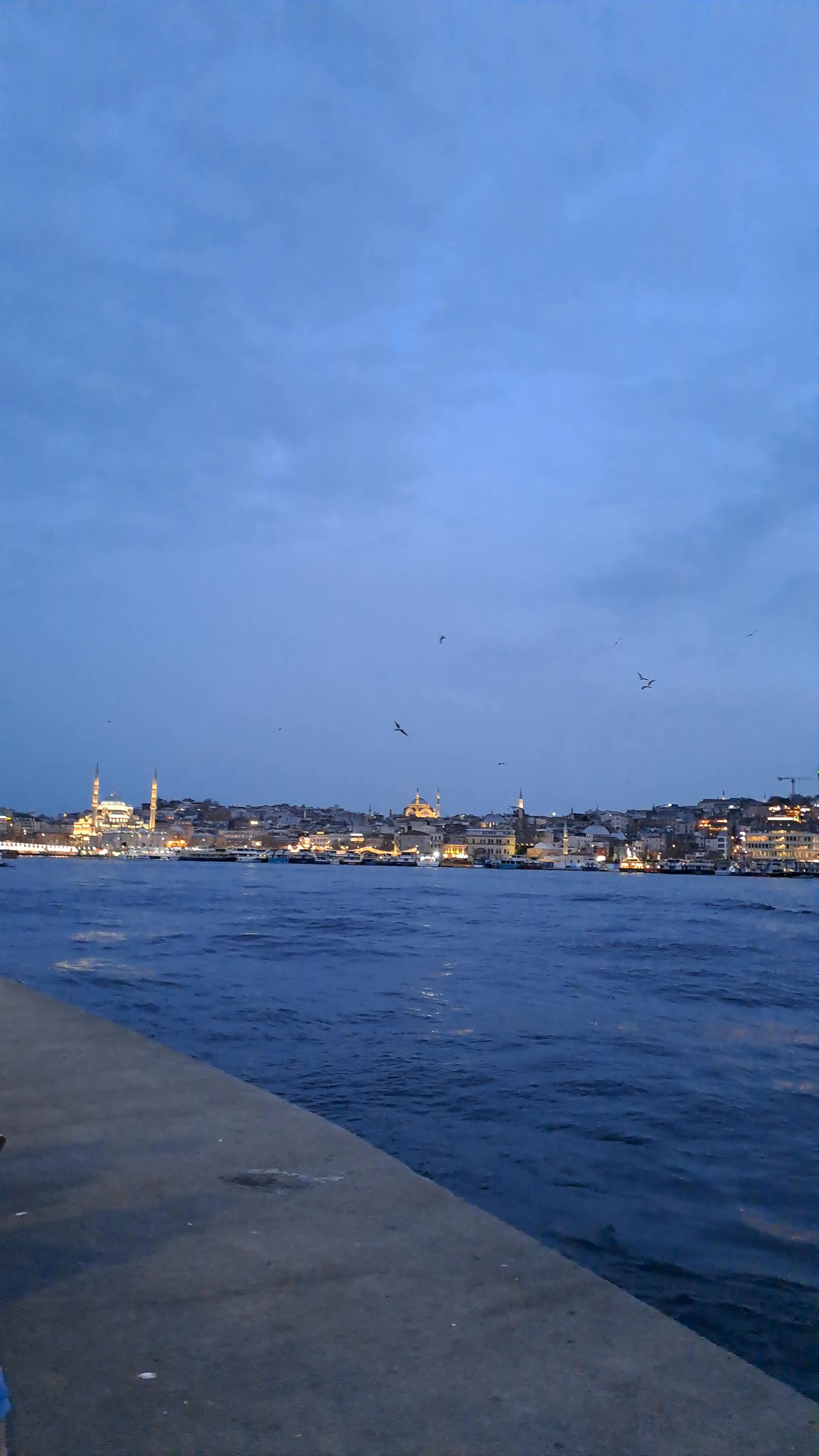 Atatürk Bridge
