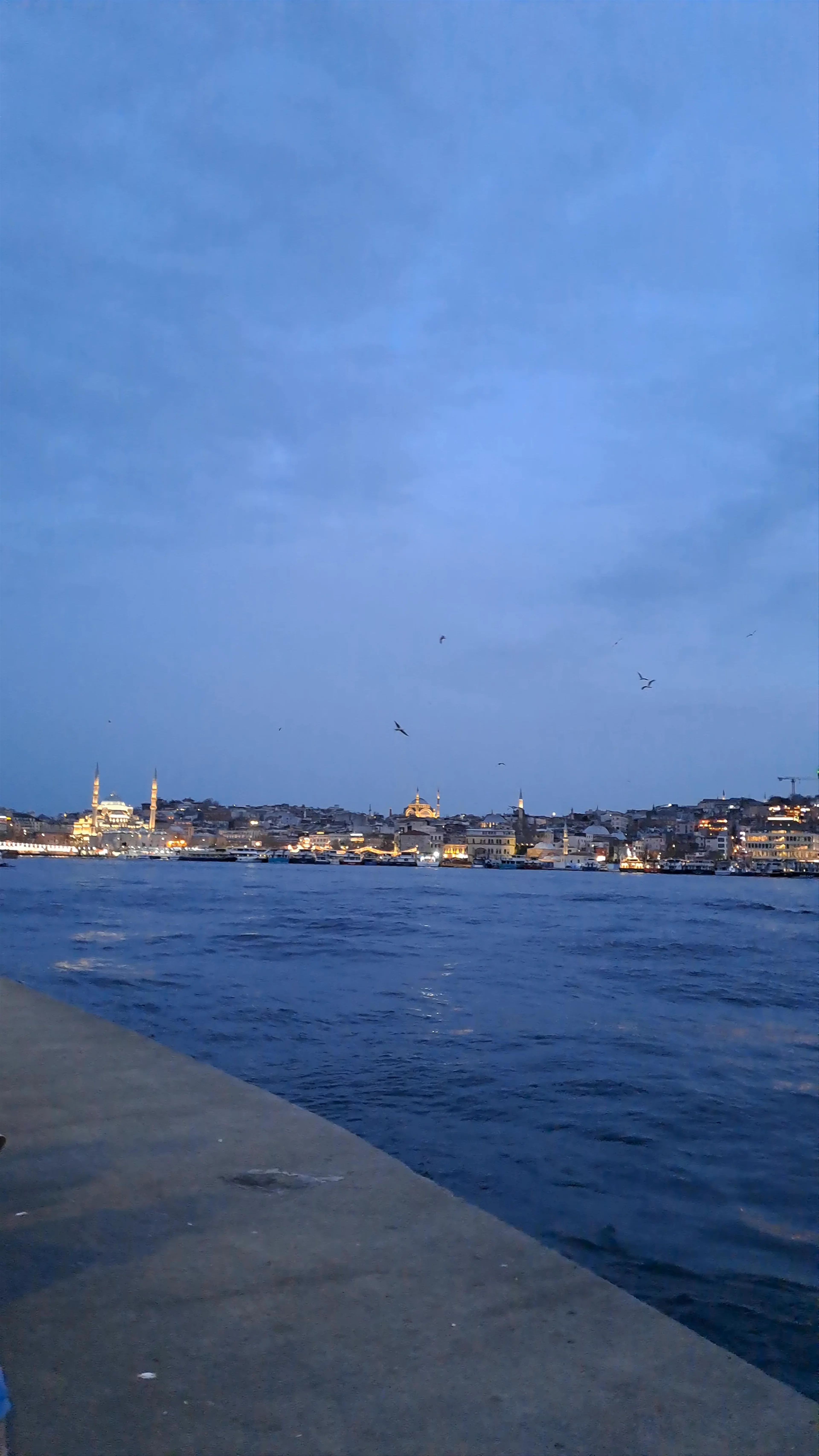 Atatürk Bridge, Topkapı