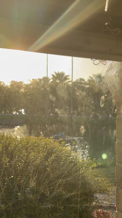 Eckerd College - Colleges & Universities Near Me - Saint Petersburg, Florida