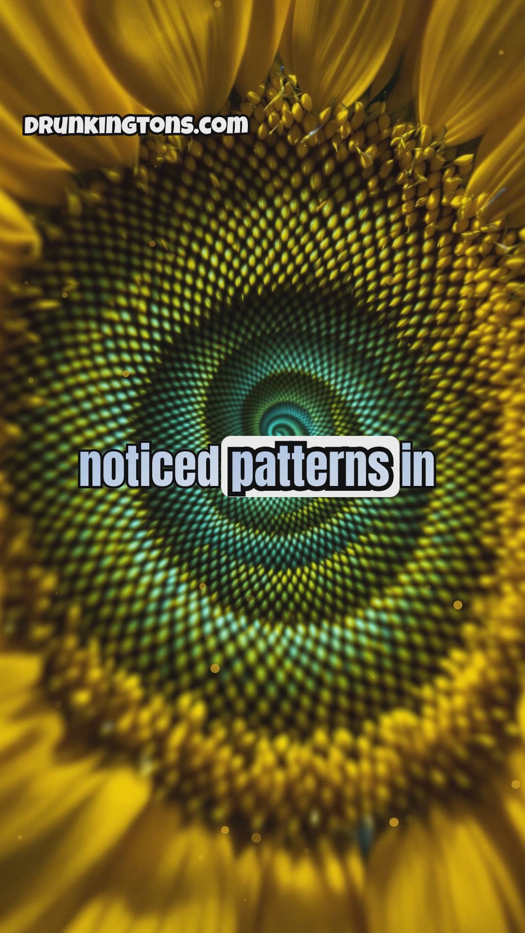 The Power of Numbers: From Fibonacci Sequence to Pi