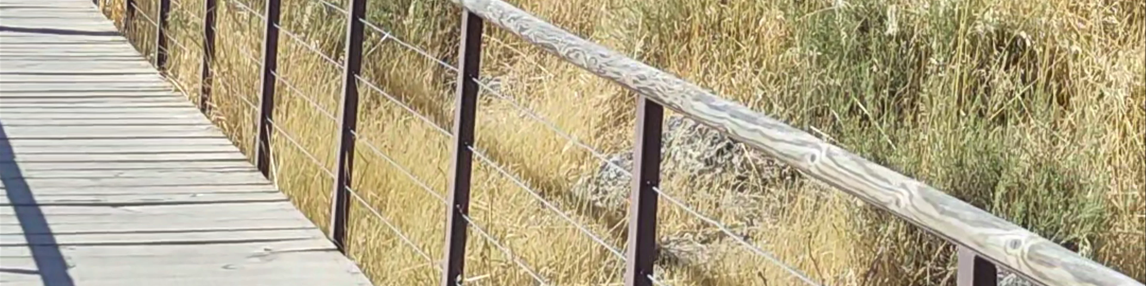 Molinos de Viento de Consuegra