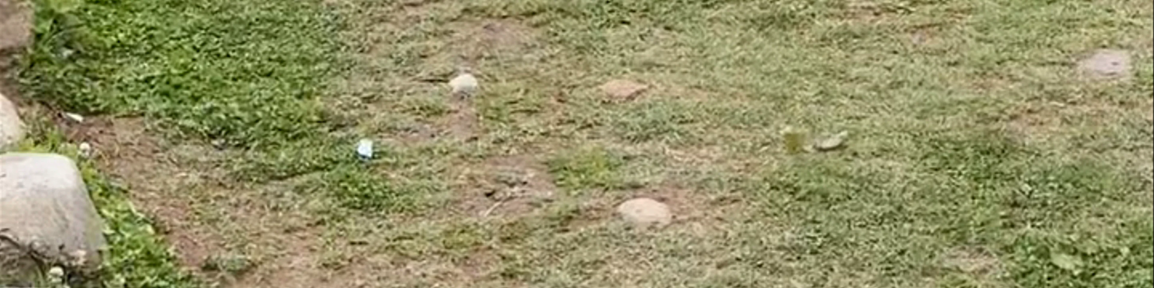 Park Dzongkhag Archery Range.