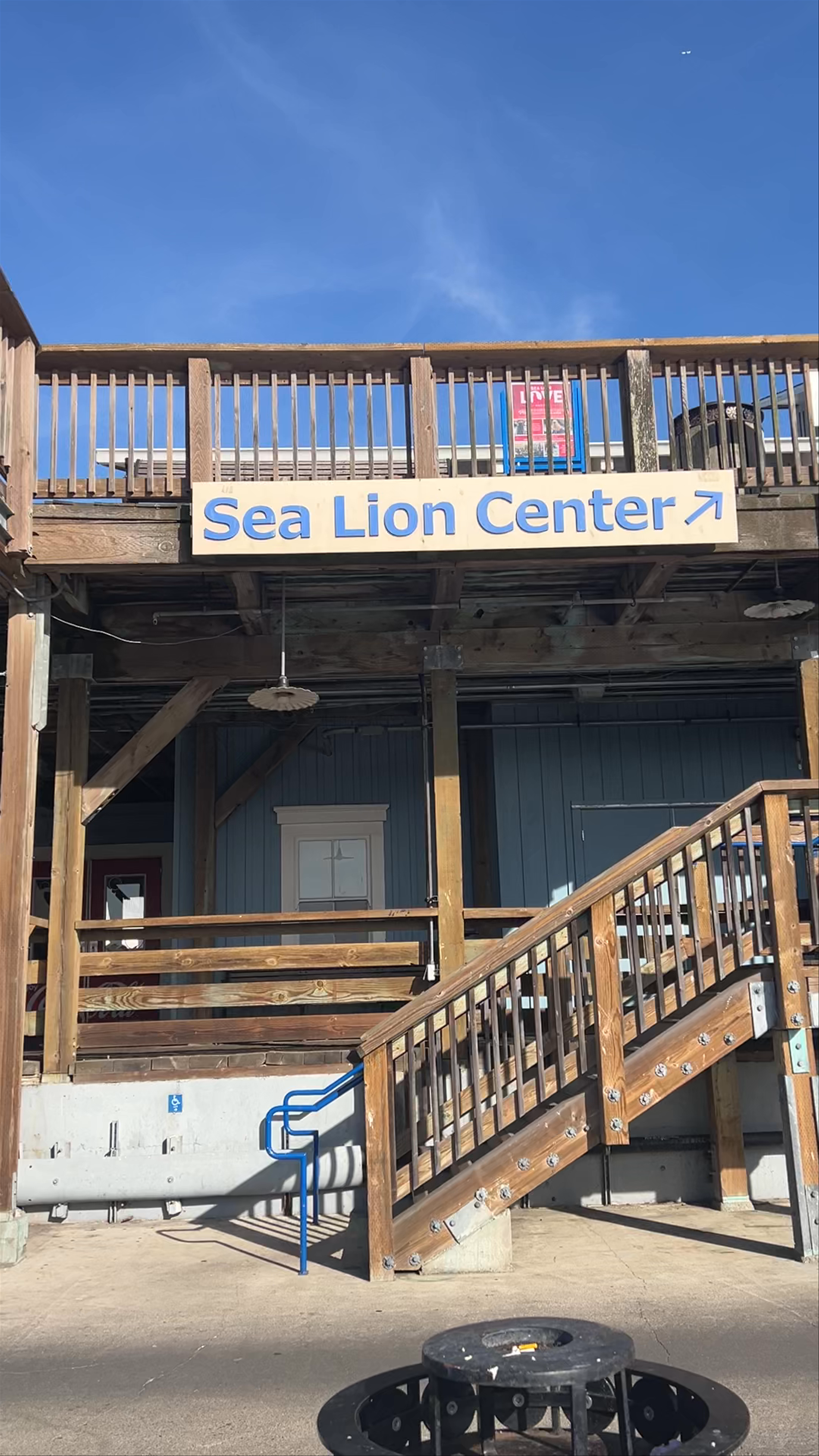 Sea Lion Viewing Area