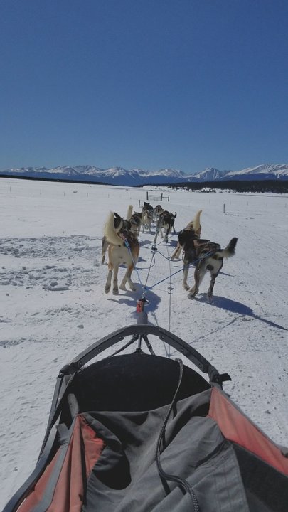 Alpine Adventures - Active Life Near Me - Leadville, Colorado