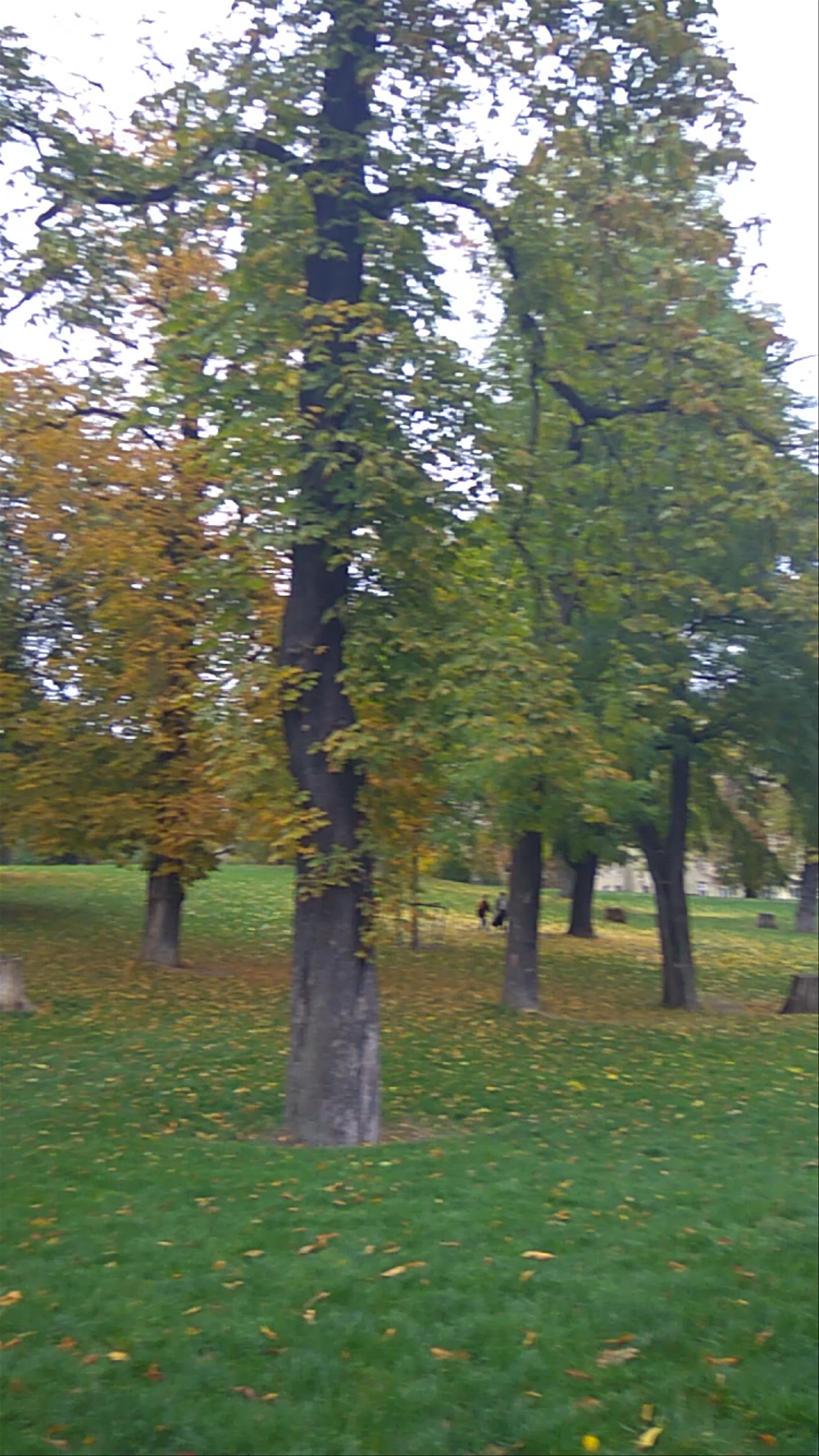 Stary Browar, Poznan, Poland