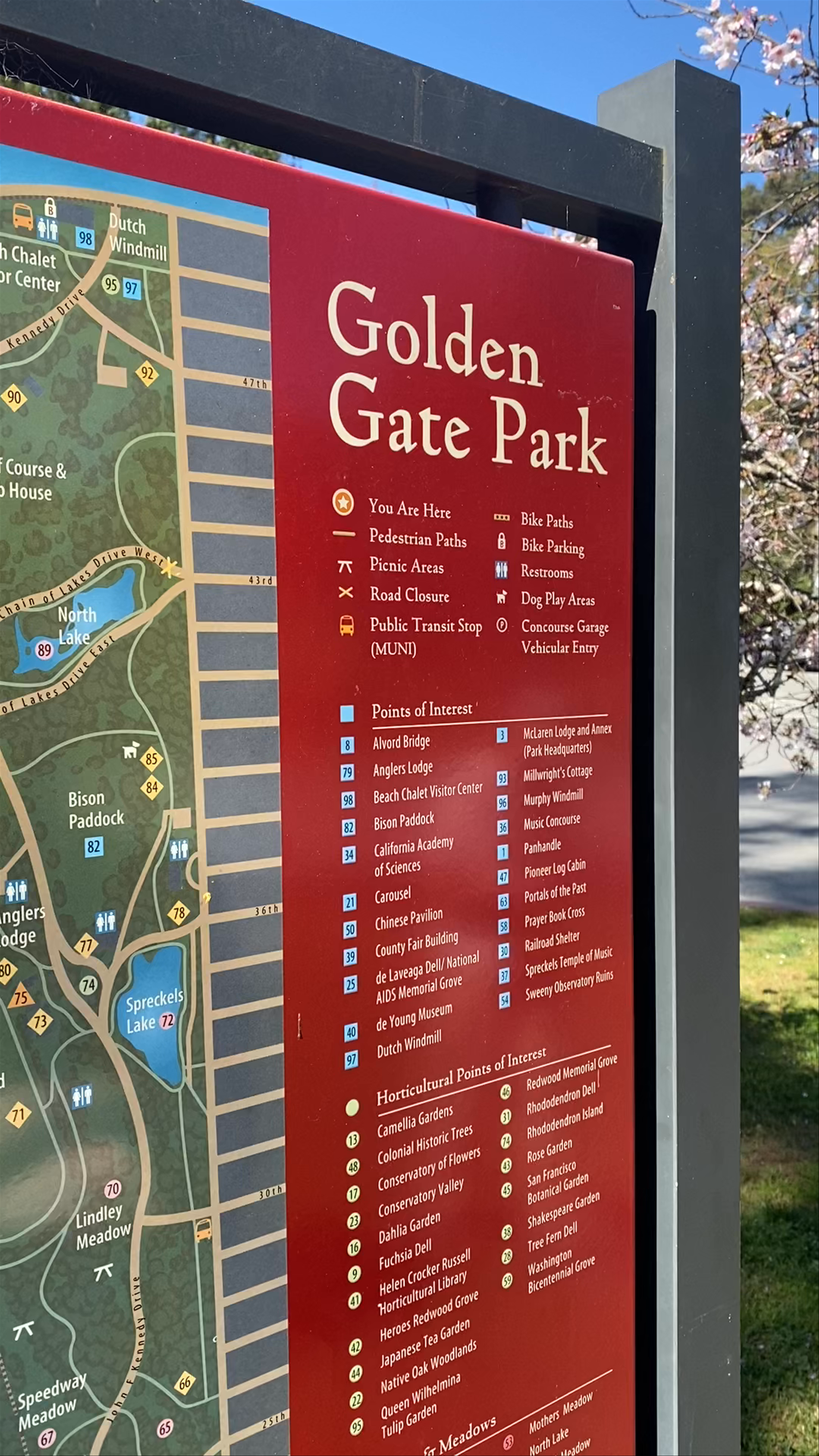 Golden Gate Park Spring Stroll in Sausalito